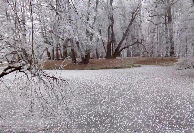פנסיון Apartmán V Suterénu
