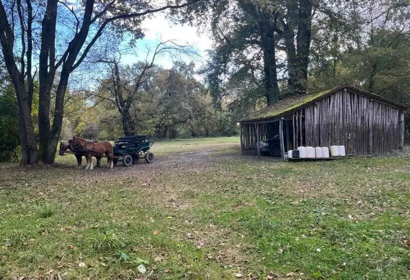 Sziget Hotel Veránka