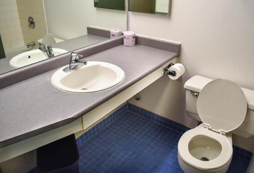 ユースホステル Toronto Metropolitan University  Pitman Hall Residence