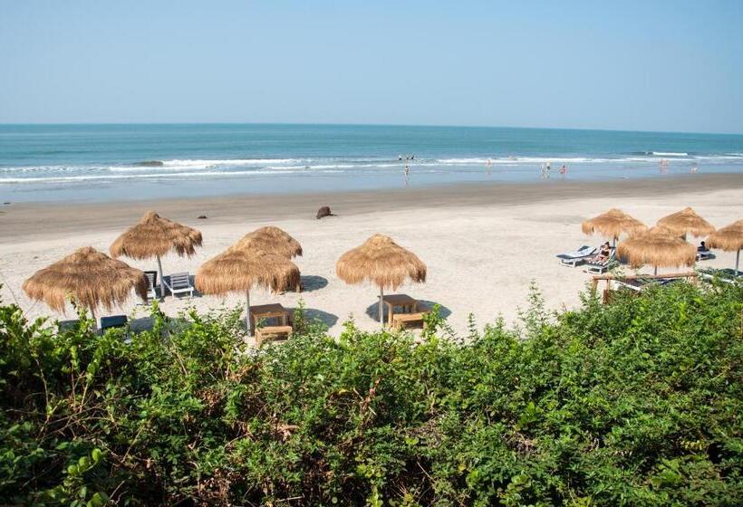 渡假胜地 Anahata Retreat Ashvem Goa