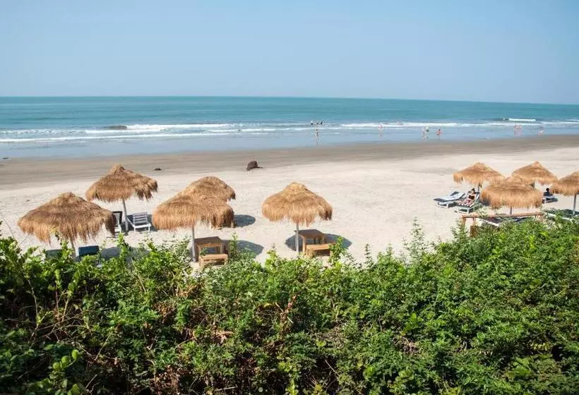 リゾートホテル Anahata Retreat Ashvem Goa