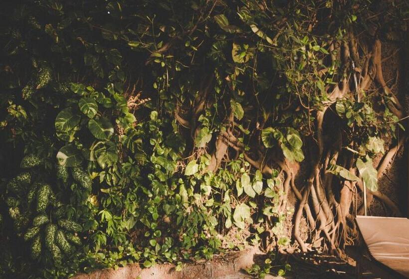 渡假胜地 Anahata Retreat Ashvem Goa