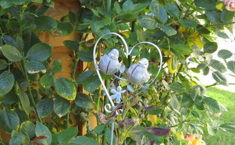 Bed and Breakfast Honfleur à Deux