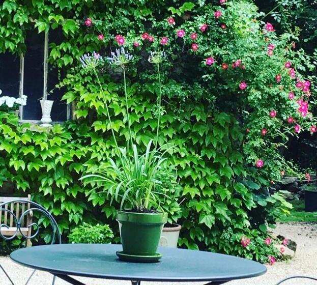 Bed and Breakfast Les Chambres D Hôtes Du Bois Joli