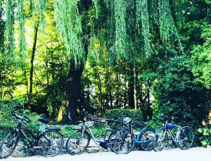 Bed and Breakfast Les Chambres D Hôtes Du Bois Joli