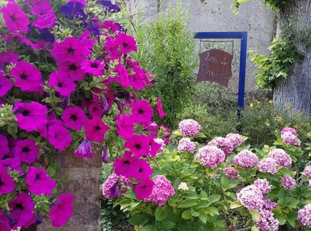 Aamiaismajoitus (B&B) Les Quatre Saisons
