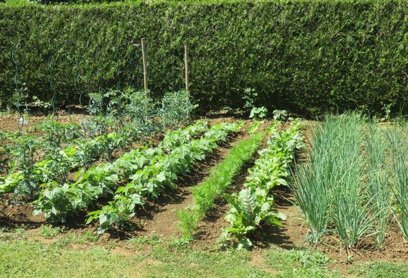 ベッドアンドブレックファースト Les Quatre Saisons