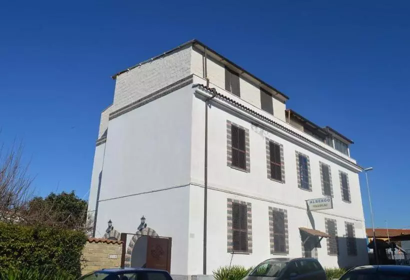 ホテル Albergo Ollolai