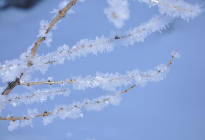 Hotelli Bauernhof Haim Schnepfleitner