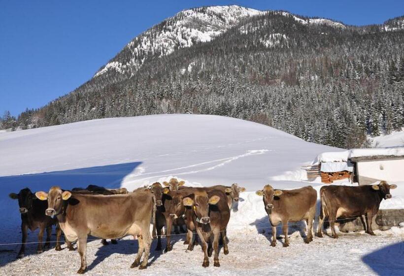 Hotelli Bauernhof Haim Schnepfleitner