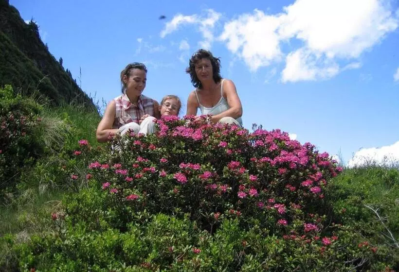 Hotelli Bauernhof Haim Schnepfleitner
