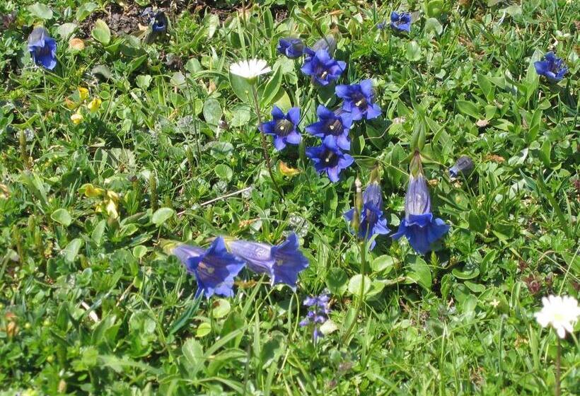 Hotelli Bauernhof Haim Schnepfleitner