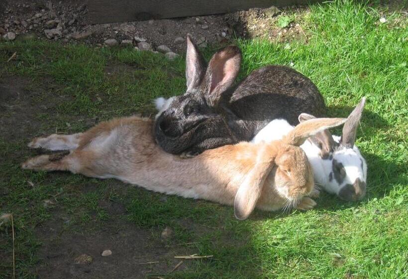 Hotelli Bauernhof Haim Schnepfleitner