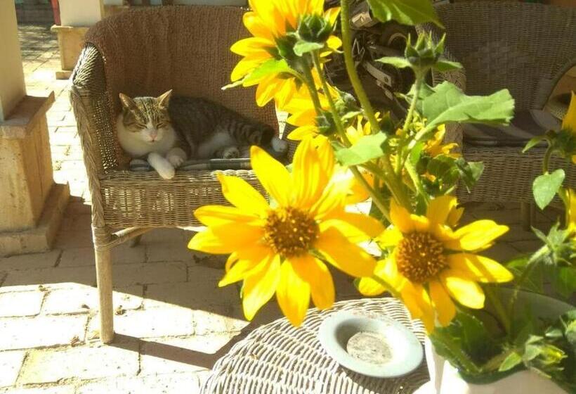 Отель Casale Barbagianni