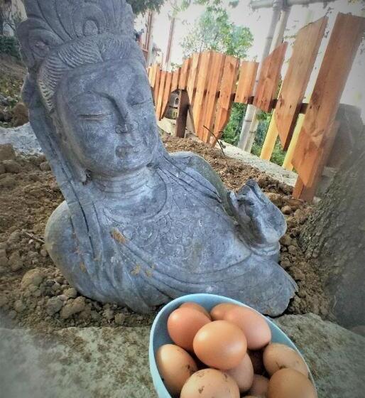 Отель Casale Barbagianni