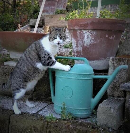 Отель Casale Barbagianni