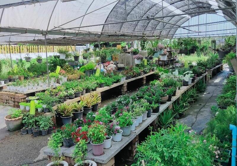 酒店 See Sky Resort