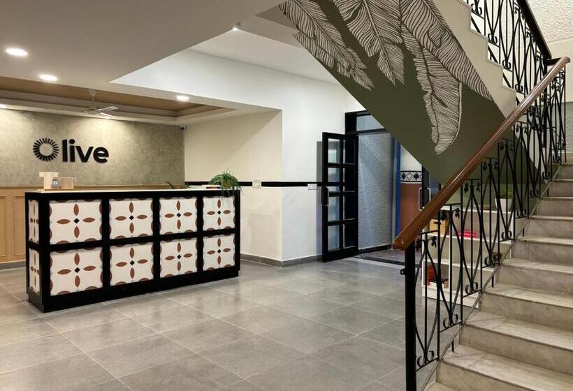 Olive Palace Road   By Embassy Group