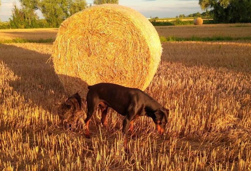 פנסיון Ca Del Tajo