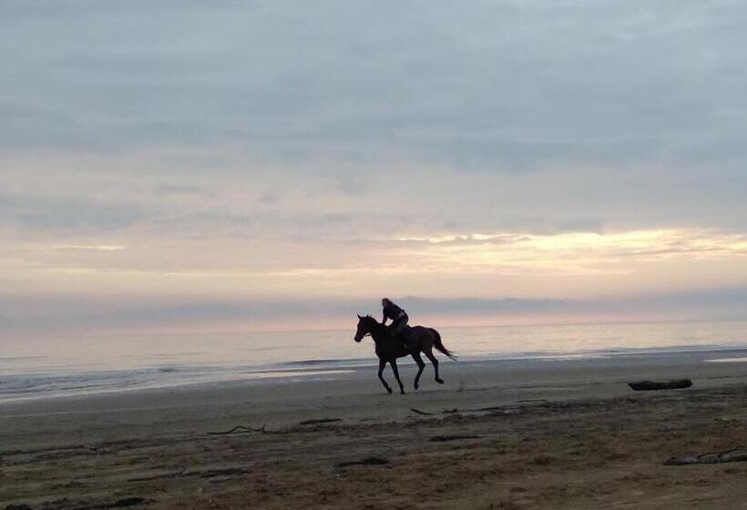 פנסיון Ca Del Tajo