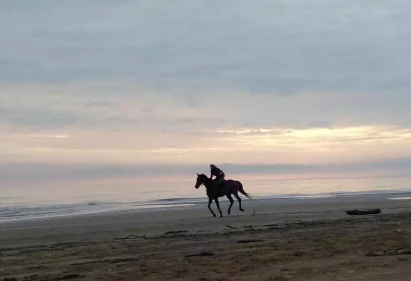 ペンション Ca  Del Tajo