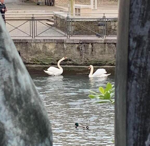 פנסיון Ca Del Tajo