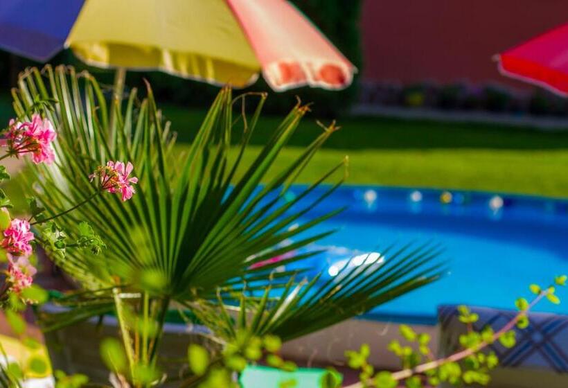 膳宿费 Vila Livadeto