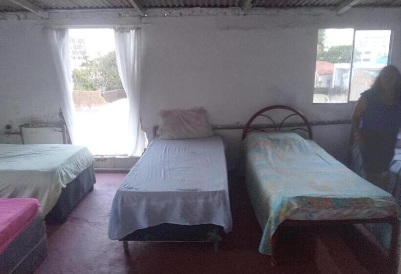 هاستل Cama 02 Num Quarto Compartilhado