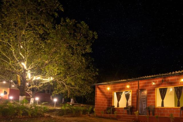 Dandeli Luxury Resorts