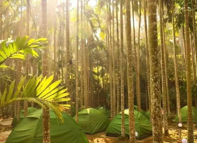 Dandeli Luxury Resorts