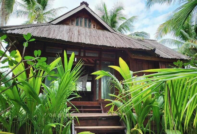 Full Moon Island Resort