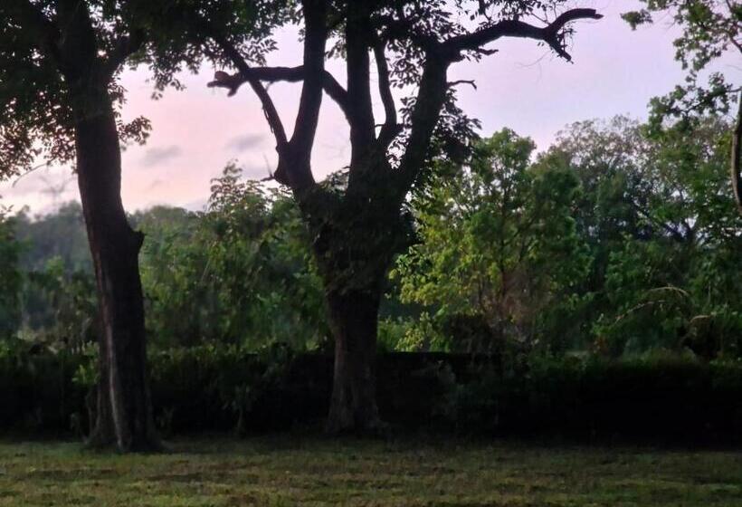Hotel Sigiriya Cottage