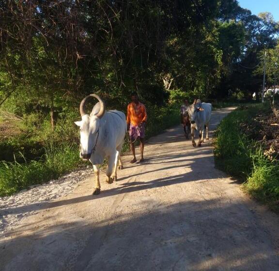 Hotel Sigiriya Cottage