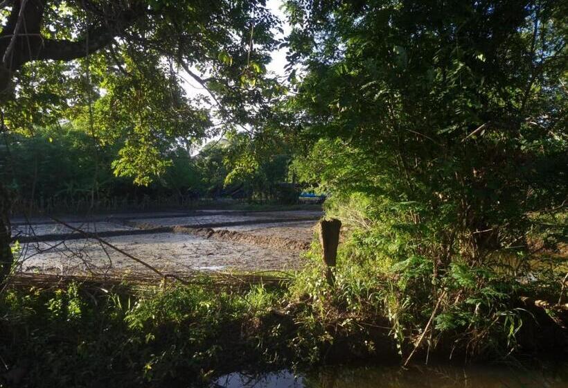 Hotel Sigiriya Cottage