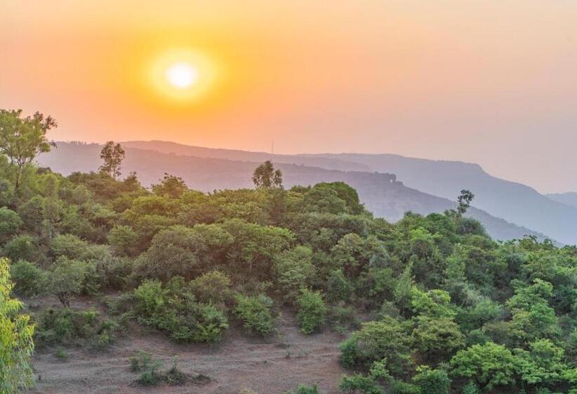 Отель The Mountain Mist