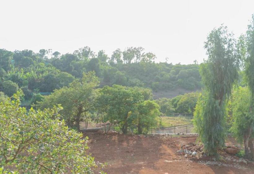 Отель The Mountain Mist