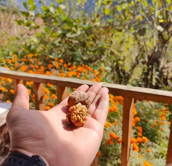 پانسیون Renuka Homestay And Cafe