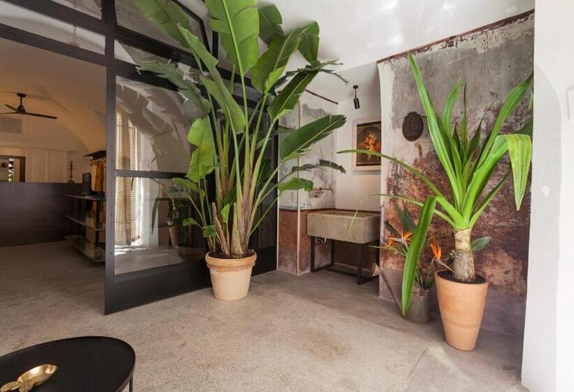 Panzió Almà Art Studio