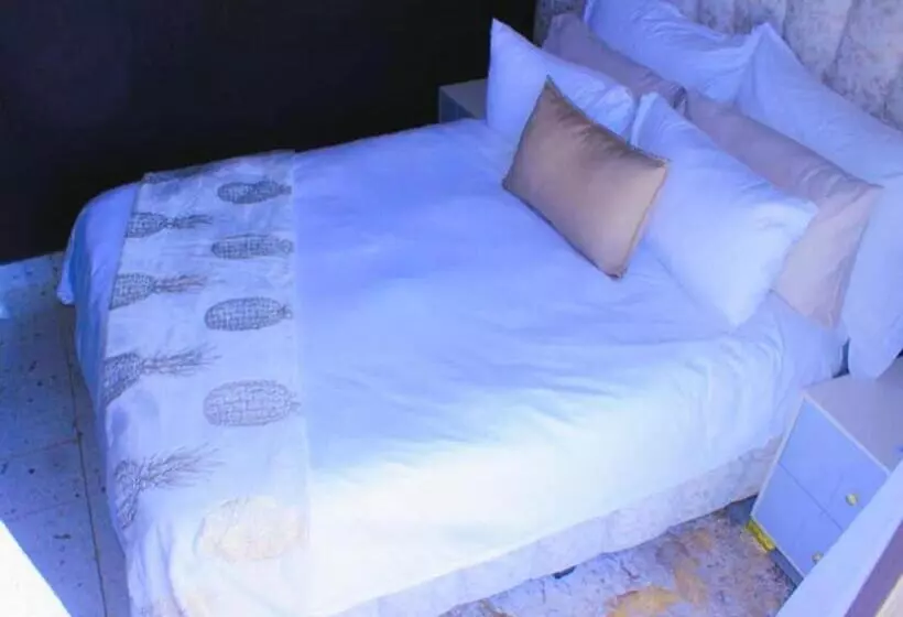 ペンション Dankoo Baba And Etc Guesthouse