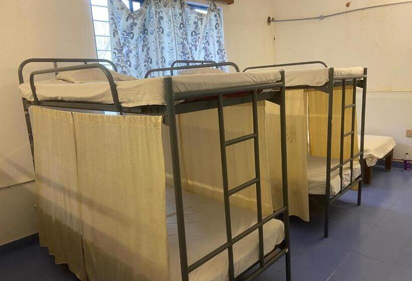 Stargaze Resort And Hostel