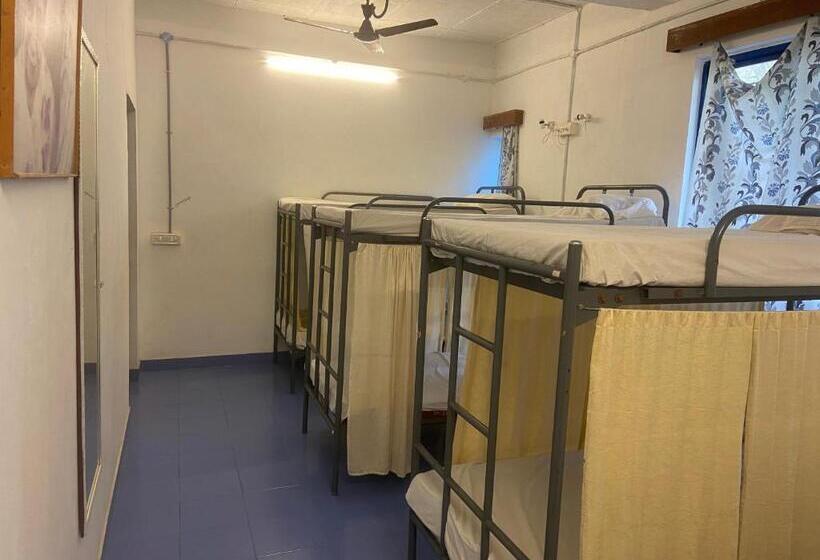 Stargaze Resort And Hostel