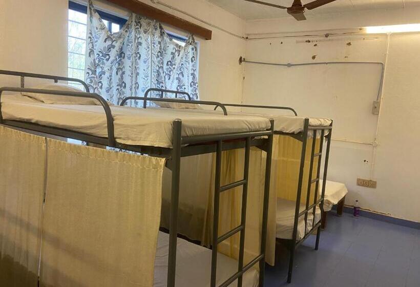 Stargaze Resort And Hostel