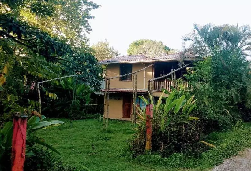 هاستل Casa Qi Boho B&b