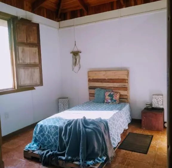 هاستل Casa Qi Boho B&b