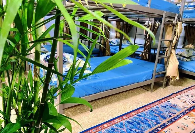 هاستل Wind Hill Homestay Hà Giang