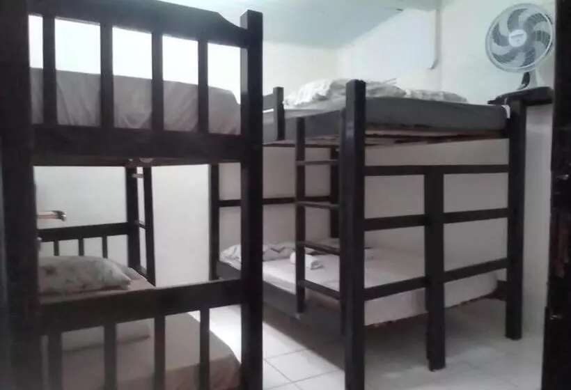 ペンション Casa Wilson