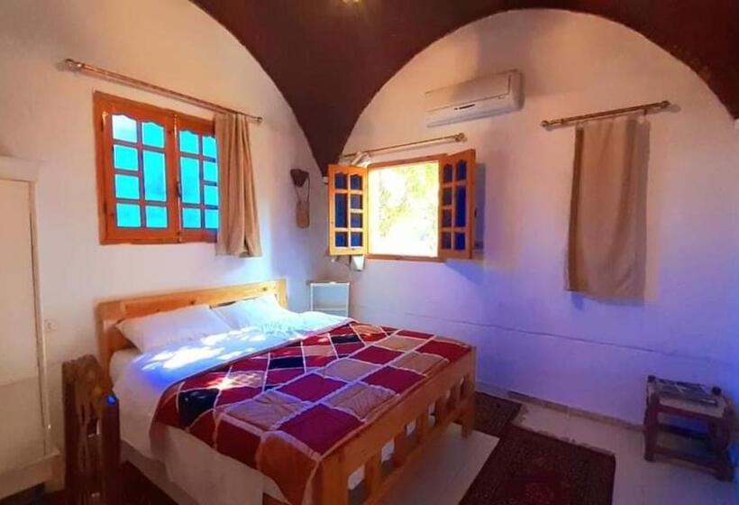 پانسیون Nobian House Studios #2