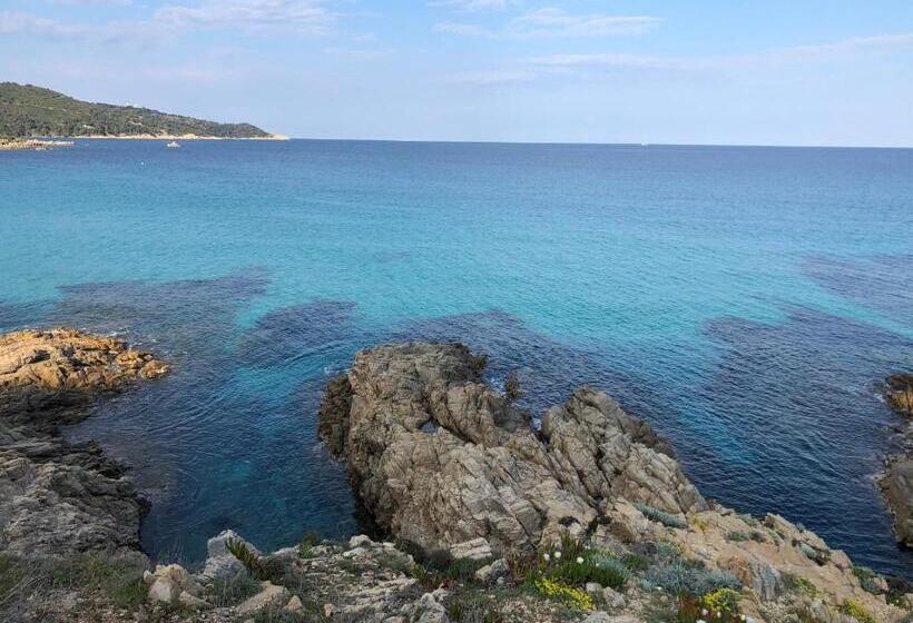 Пансион Rama Casa