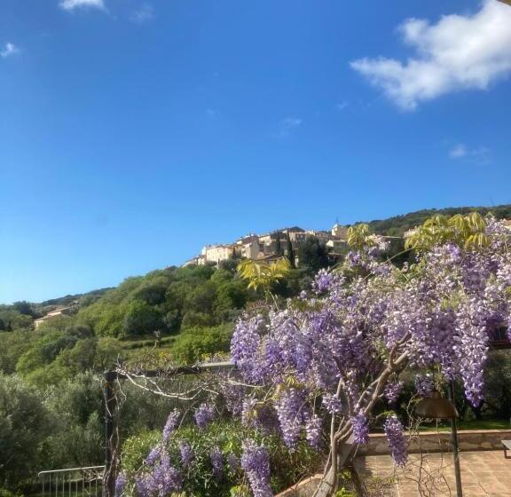 Пансион Rama Casa