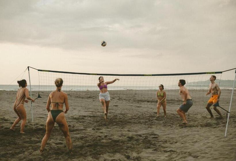 펜션 The Nordic House